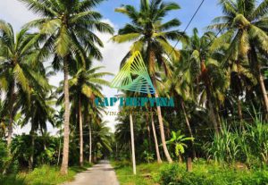 Dia Chi Ban Cap Thep Boc Nhua Tai Ben Tre 0