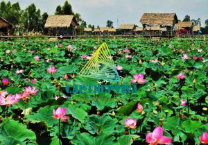 Dia Chi Ban Tang Do Cap Tai Dong Thap 1