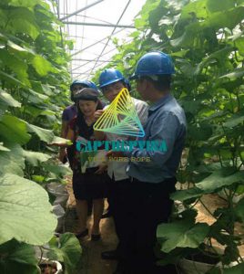 Dia Chi Mua Cap Thep Ma Kem Tai Binh Thuan 1 (1)