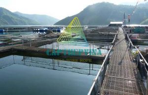 Dia Chi Mua Cap Thep Ma Kem Tai Hau Giang 0