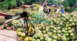 Z2506038700724 79335340d662881e57ce10348ffe83cc