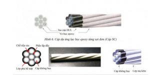 Z2511509741024 9309455549a7d688d0f6f3e184fab94f (1)