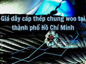 Gia Cap Thep Chung Woo Tai Thanh Pho Ho Chi Minh1